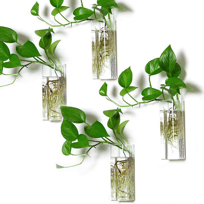 Wall Hanging Plant Terrarium Propagation Station Glass Planter for Home Office Decor, Large Cylinder Vase, 4 Pack