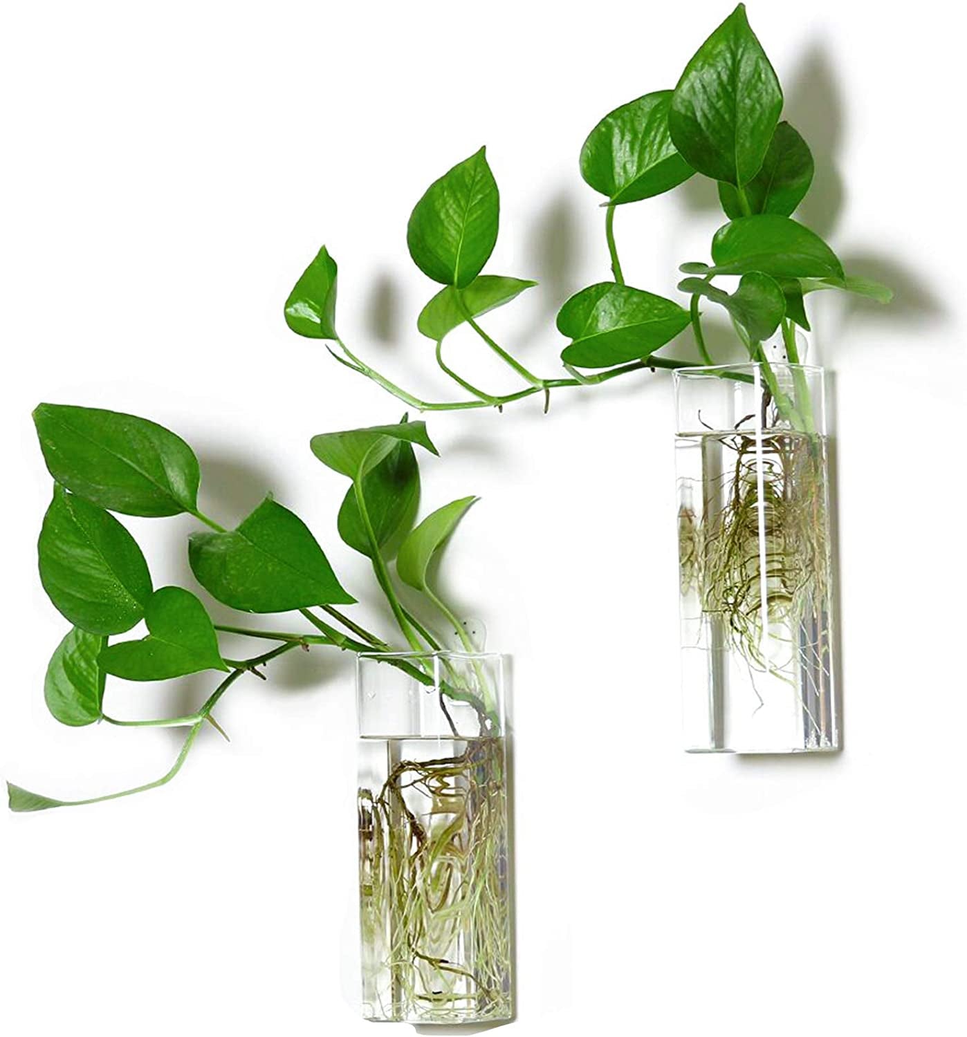 Wall Hanging Plant Terrarium Propagation Station Glass Planter for Home Office Decor, Large Cylinder Vase, 4 Pack