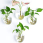 Wall Hanging Plant Terrarium Propagation Station Glass Planter for Home Office Decor, Large Cylinder Vase, 4 Pack