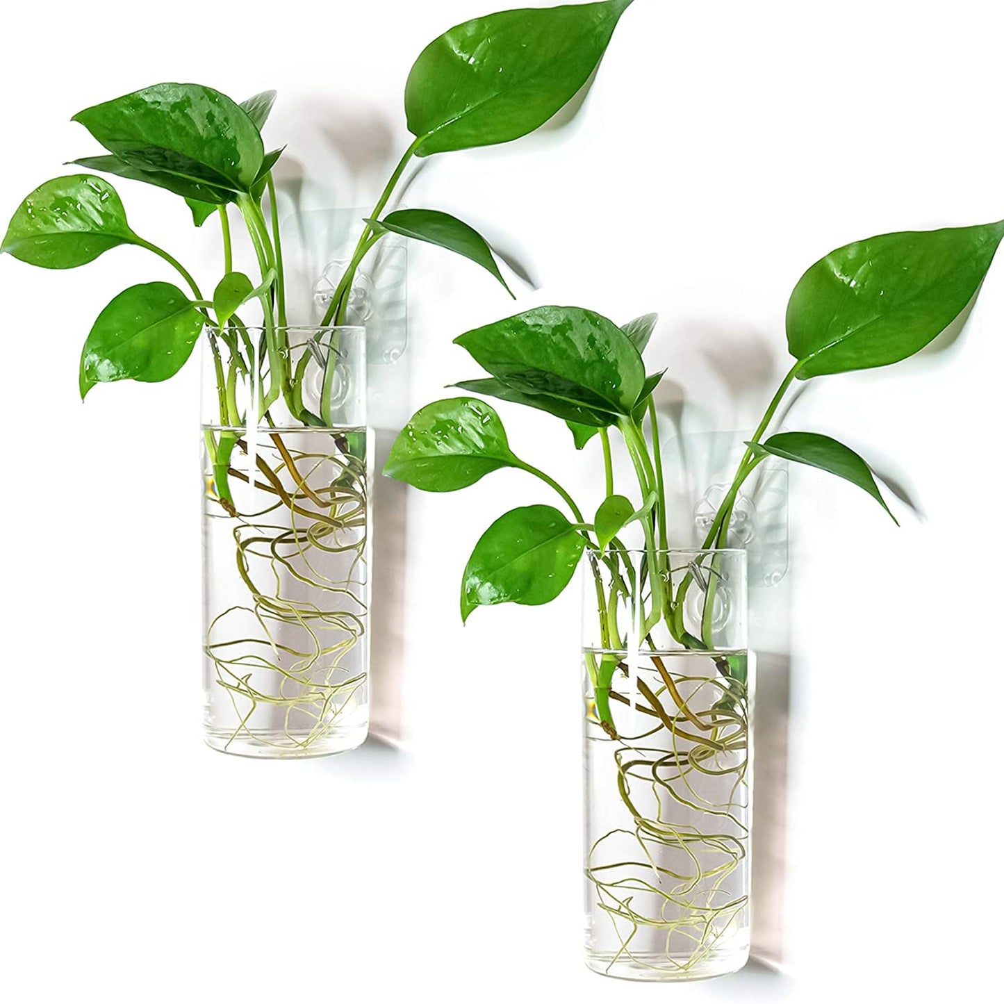 Wall Hanging Plant Terrarium Propagation Station Glass Planter for Home Office Decor, Large Cylinder Vase, 4 Pack