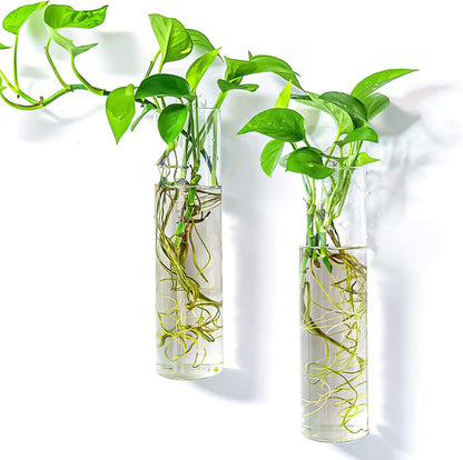 Wall Hanging Plant Terrarium Propagation Station Glass Planter for Home Office Decor, Large Cylinder Vase, 4 Pack