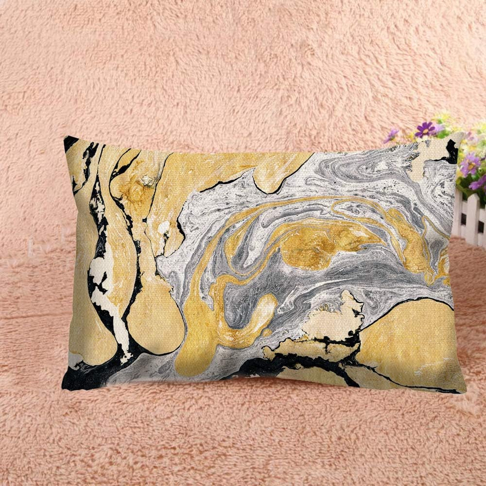 Throw Pillow Cover Black Gold Golden and Silver Marble Ink Abstract Painting Beautiful Gray Effect Aqua Decorative Pillow Case Home Decor 20X12 Inches Pillowcase